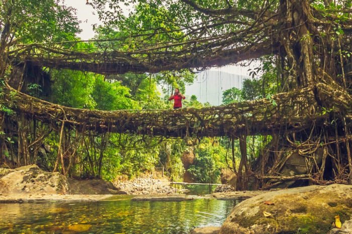 North East – Assam Meghalaya