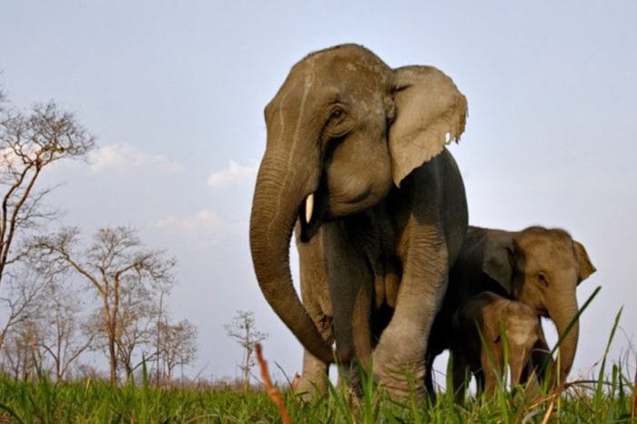 North East – Assam Meghalaya