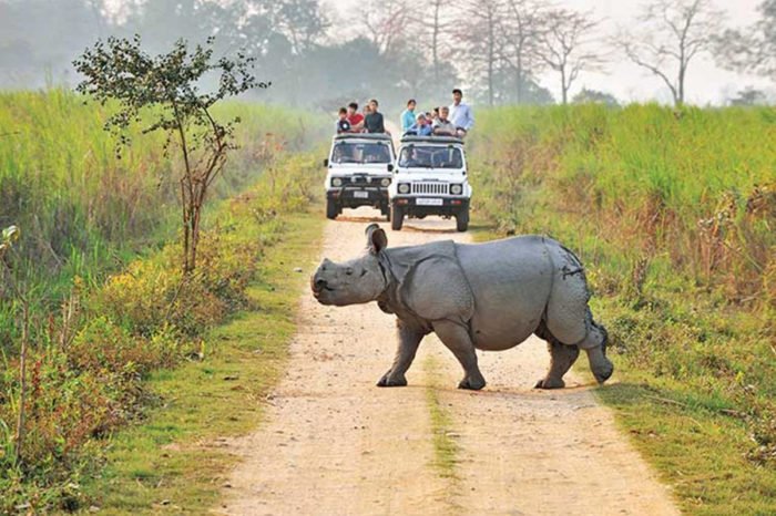 North East – Assam Meghalaya