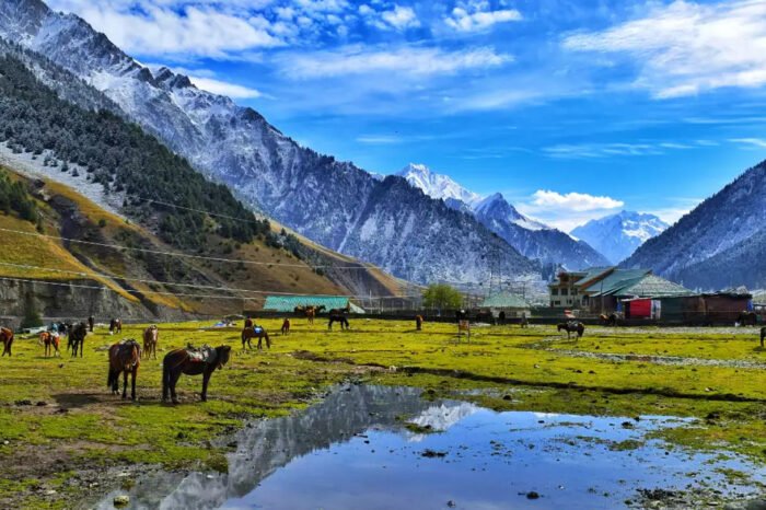 Kashmir