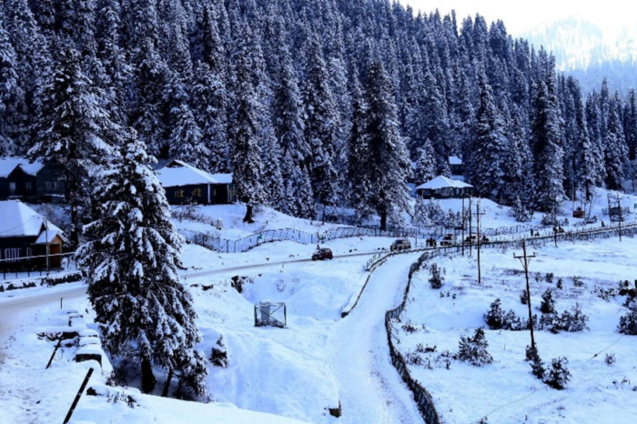 Kashmir